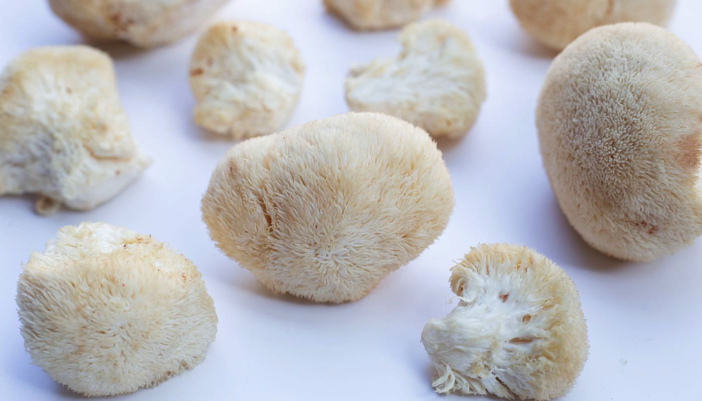 The Best Supplements For Lion's Mane Mushrooms Expert Review