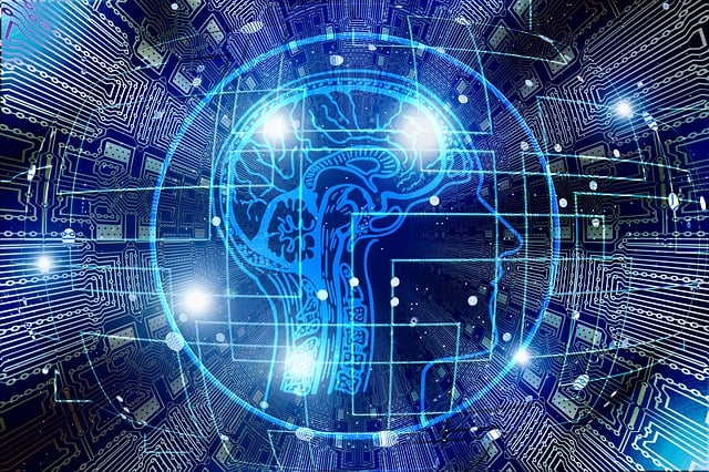 alpha brain supplement